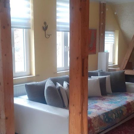 Ferienwohnungen Im Harz Altenbrak Extérieur photo